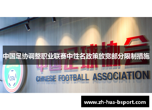 中国足协调整职业联赛中性名政策放宽部分限制措施